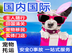 北京大兴航空运输国际宠物托运 【国